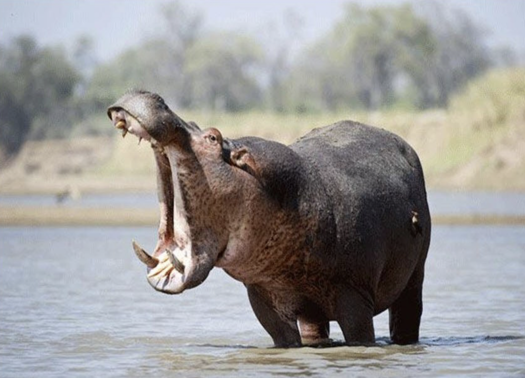 Links 11/26/2025 Links 11/26/2025