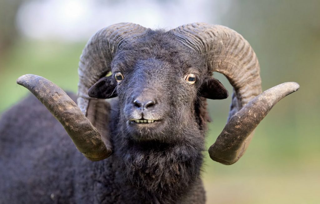 Links 11/29/2025 | naked capitalism Links 11/29/2025 | naked capitalism