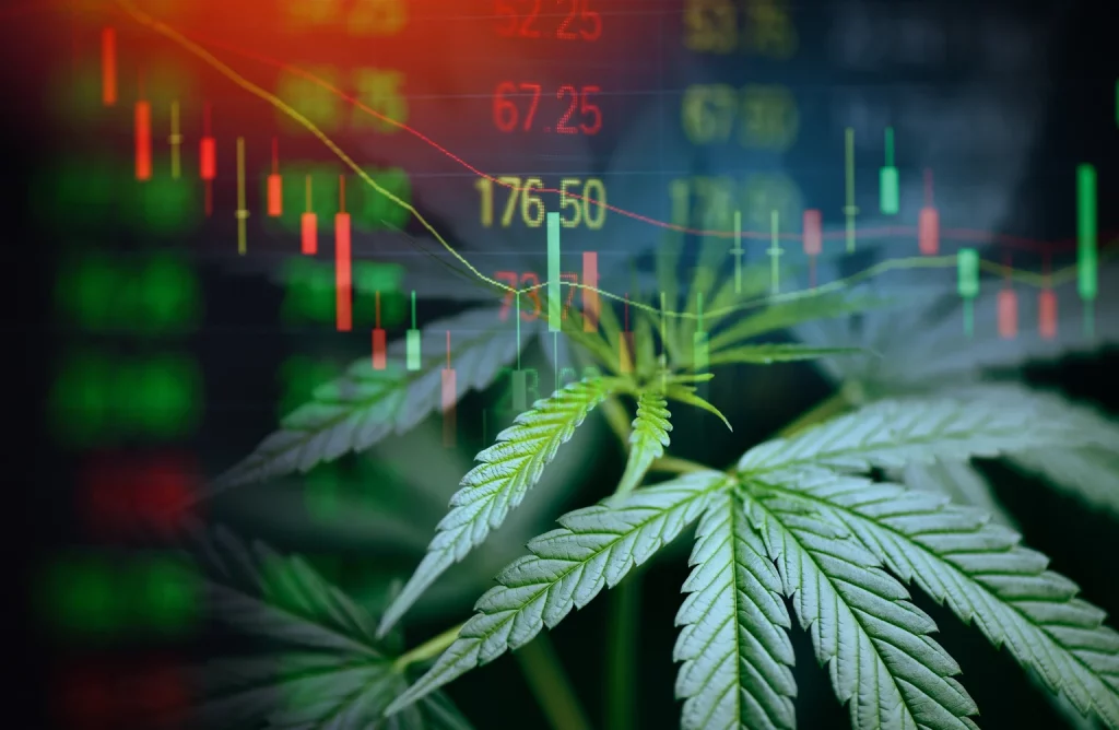 3 Best Cannabis Stocks: Will They Fly High Again Post Trump Schedule III?
