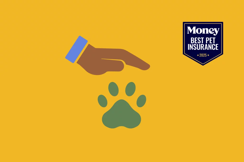 8 Best Pet Insurance Companies of December 2025