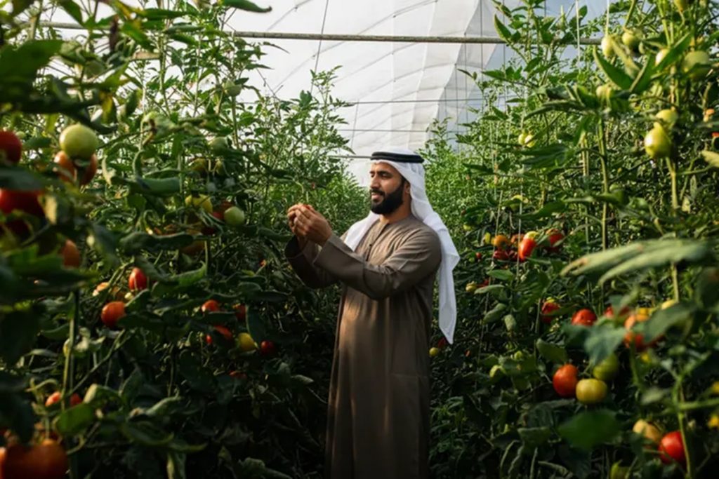 Abu Dhabi agricultural licences grow 29 per cent as sector expansion accelerates Abu Dhabi agriculture al ain farming