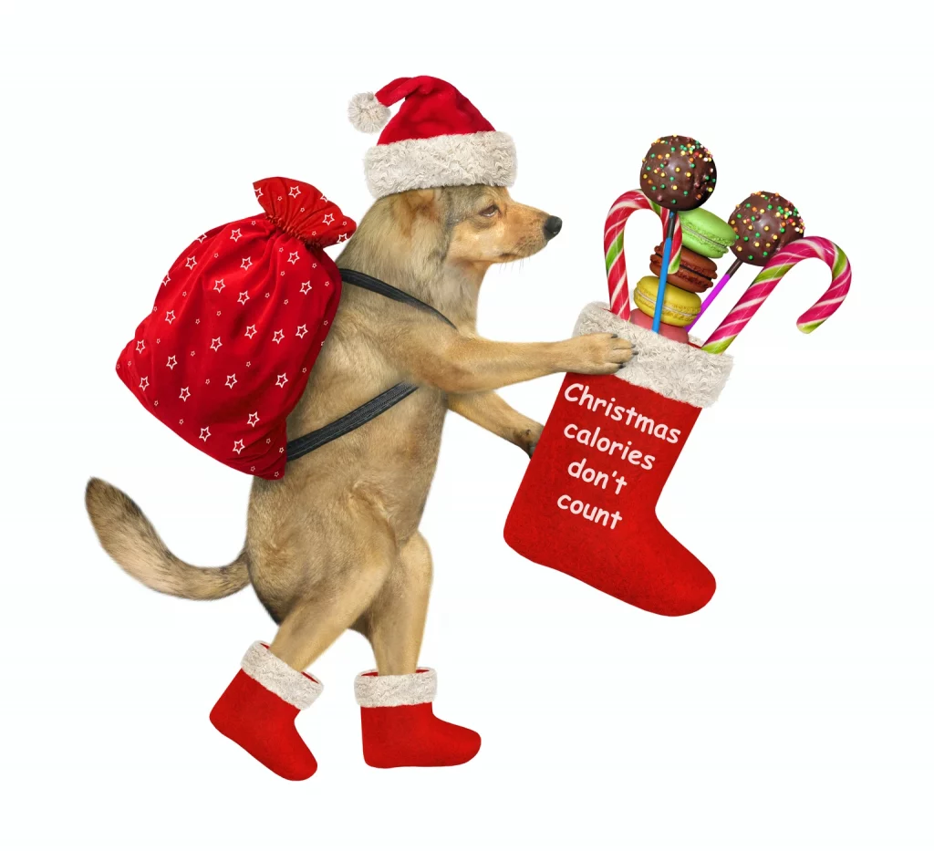 Buy Any Of Santa’s 14 Ideal Safer Dividend Power Dogs Buy Any Of Santa’s 14 Ideal Safer Dividend Power Dogs