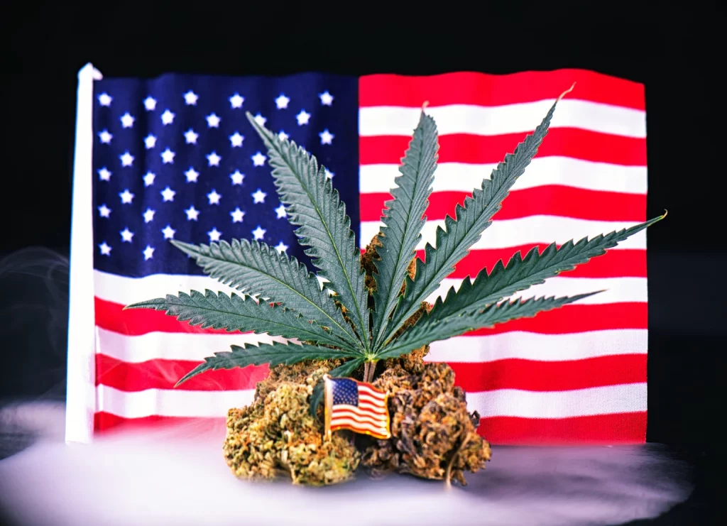 Cannabis Investing In The Trump Era Cannabis Investing In The Trump Era