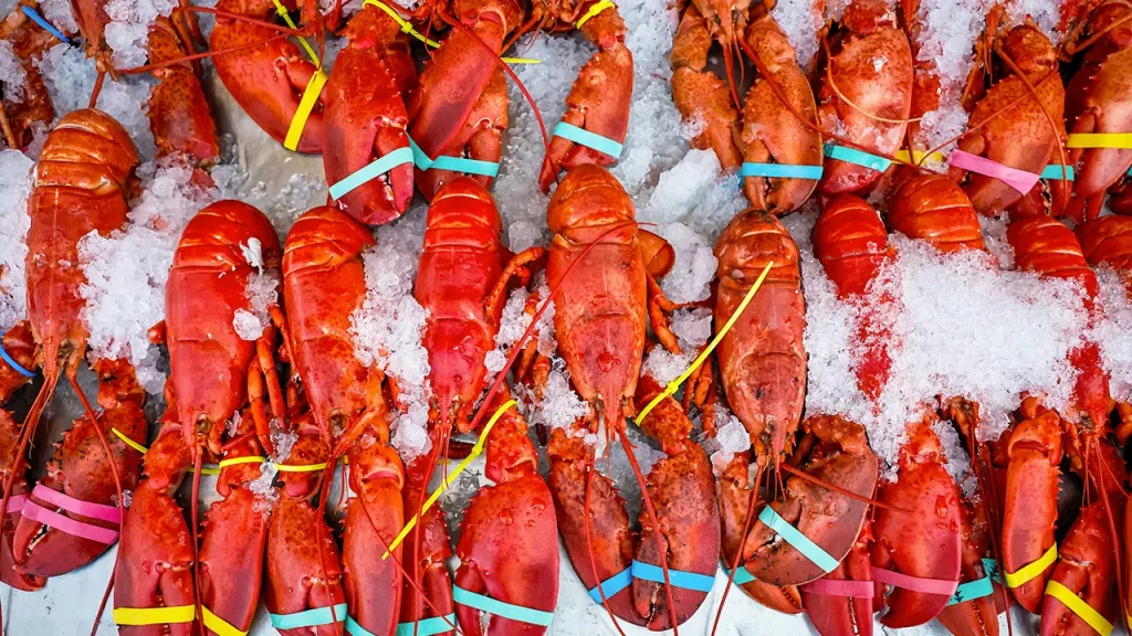 Costco-bound $400,000 lobster delivery hijacked before reaching destinations
