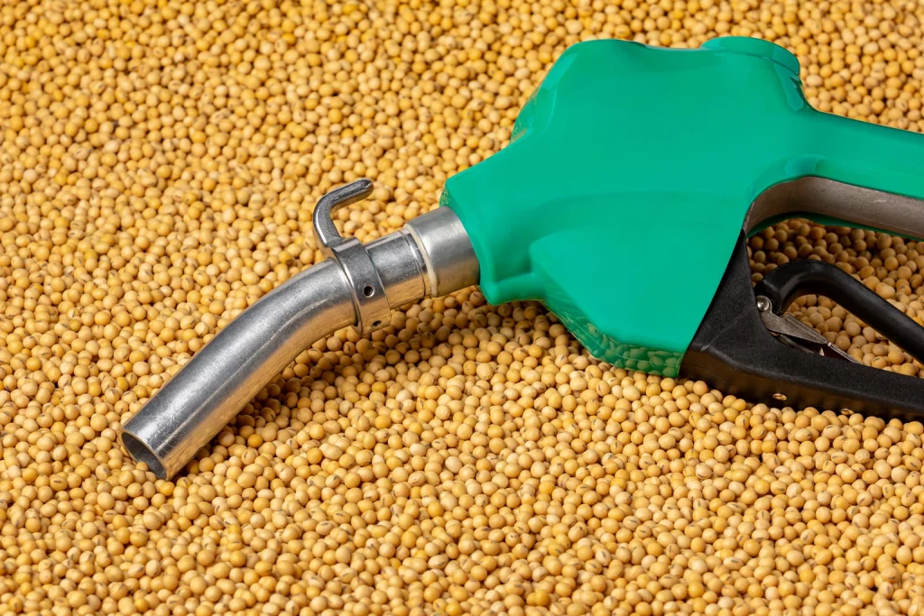 Feedstock Supply Crunch Adds To European Biofuels Volatility Feedstock Supply Crunch Adds To European Biofuels Volatility