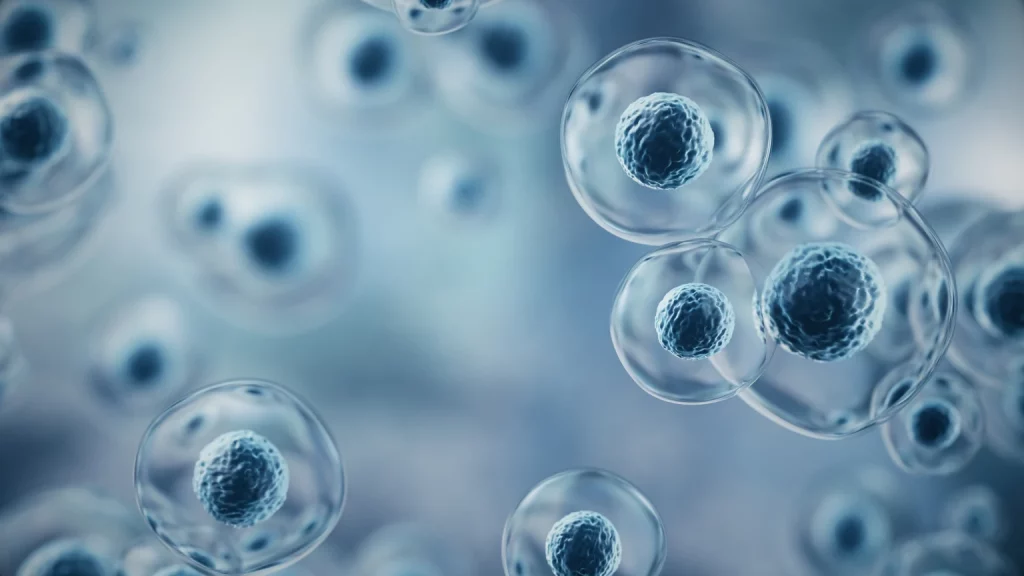 Immatics Stock: PRAME Leader’s Transition To Commercial Reality (NASDAQ:IMTX)