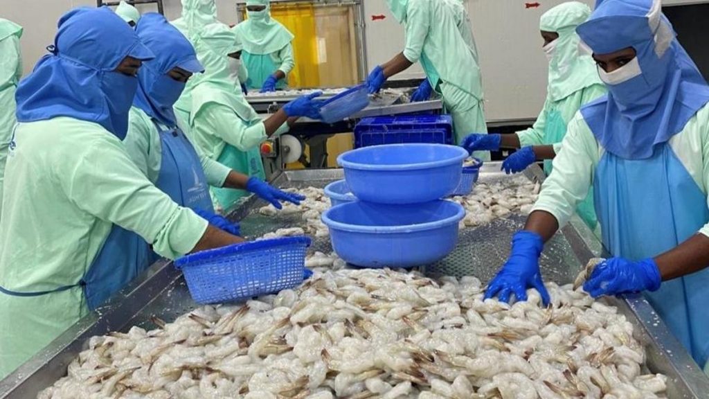 India’s inland aquaculture output rises 167% as Asia shifts to farmed fish, study finds