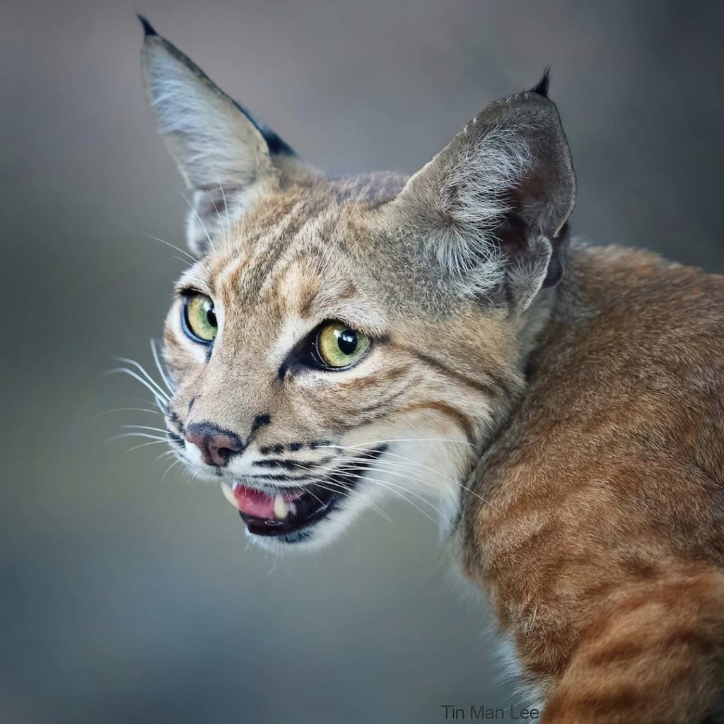 Links 12/10/2025 | naked capitalism Links 12/10/2025 | naked capitalism