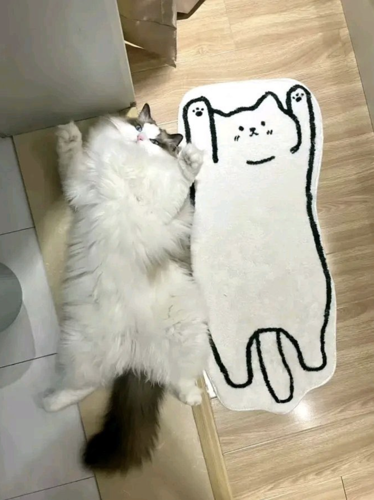 Links 12/15/2025 | naked capitalism Links 12/15/2025 | naked capitalism