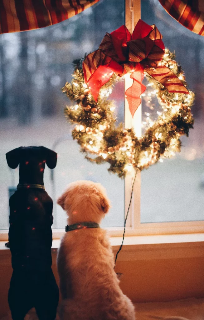 Links 12/23/2025 | naked capitalism