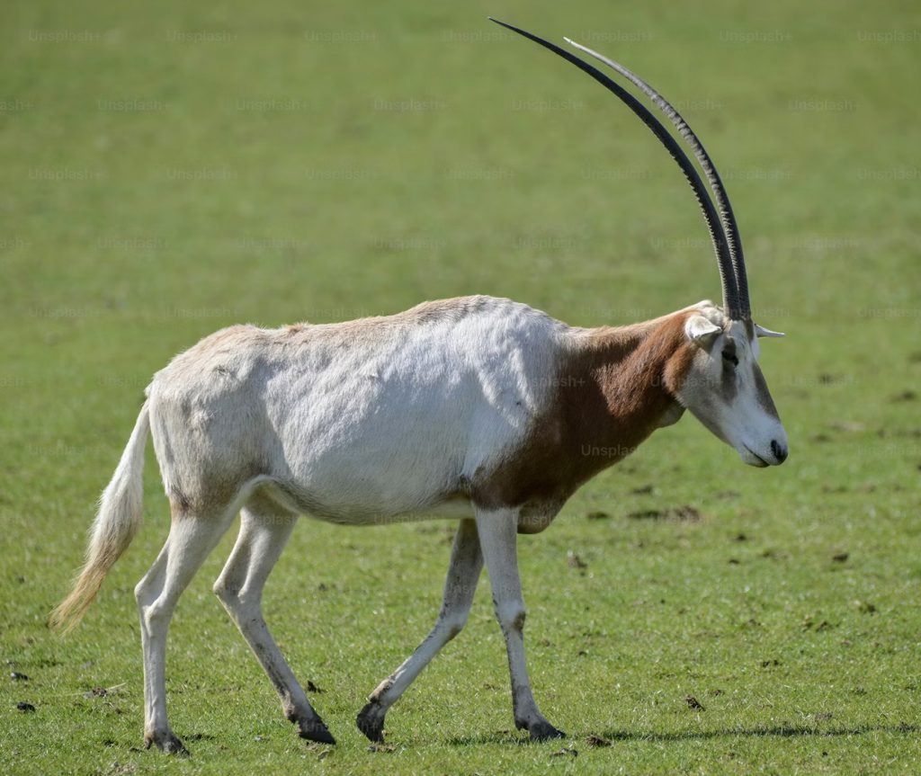 Links 12/3/2025 | naked capitalism Links 12/3/2025 | naked capitalism