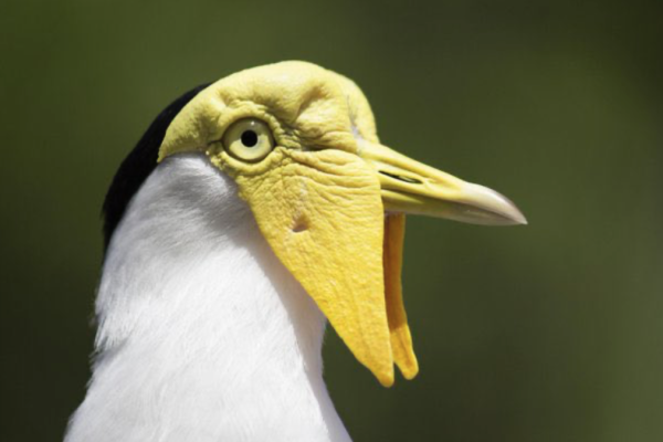 Links 12/4/2025 | naked capitalism Links 12/4/2025 | naked capitalism