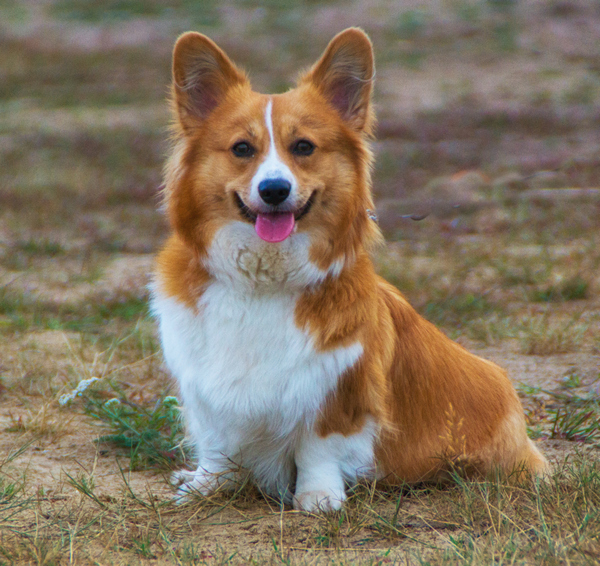 Links 12/7/2025 | naked capitalism Links 12/7/2025 | naked capitalism