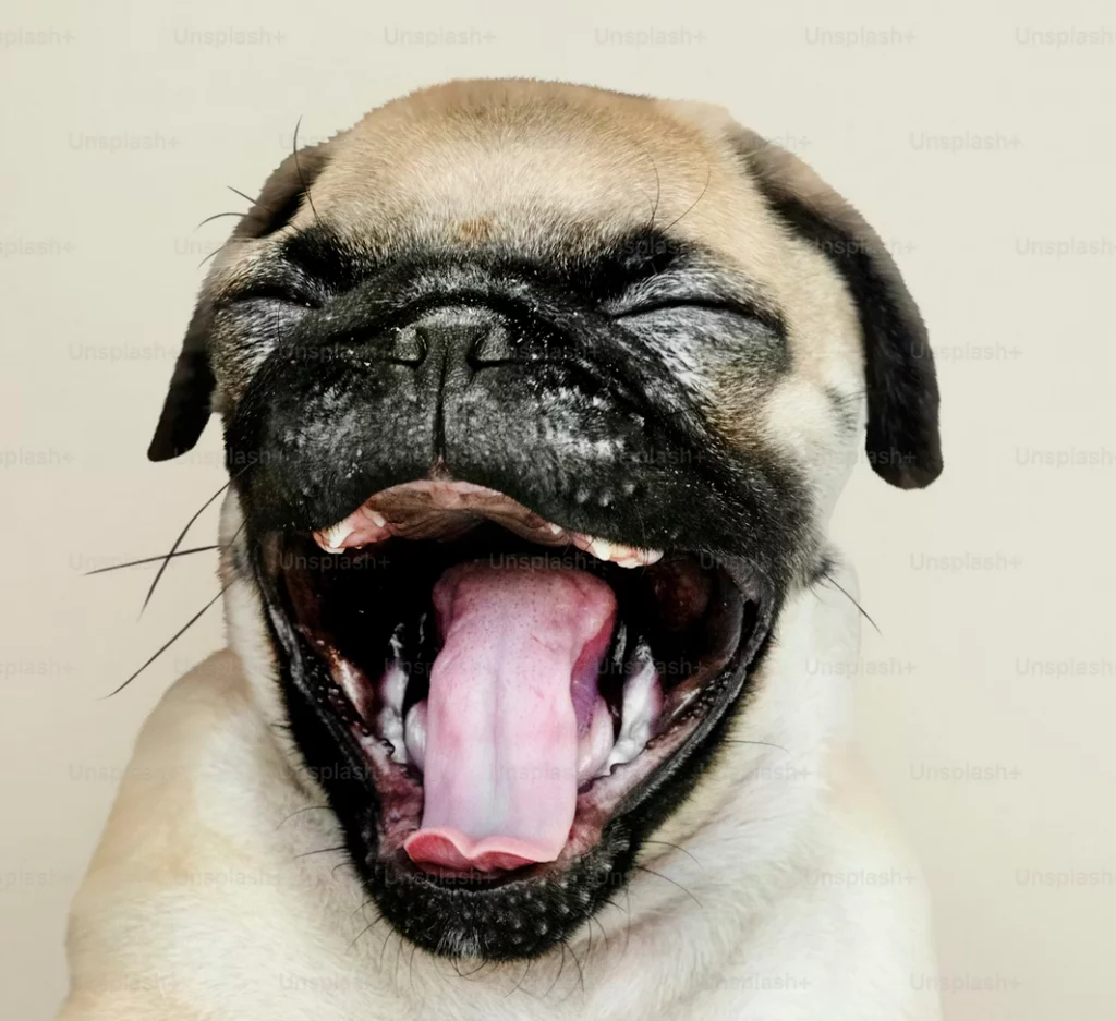 Links 12/9/2025 | naked capitalism Links 12/9/2025 | naked capitalism