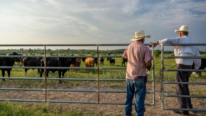 Mexico Bends The Knee, Agrees To Fulfill US Water Treaty Commitments zerohedge logo