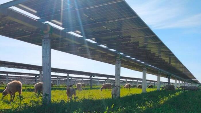 Oversupply Warning Jolts India’s Solar Buildout Oversupply Warning Jolts India's Solar Buildout