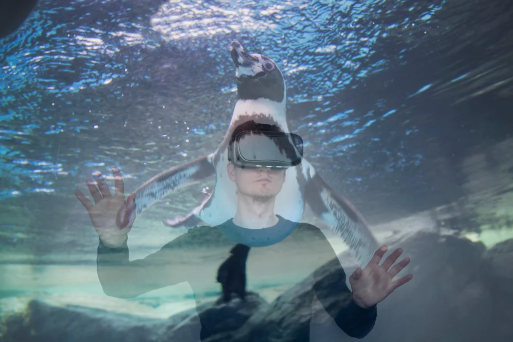 Penguin Solutions: 2 Growth Engines And A Clearer Path Into FY26 (NASDAQ:PENG) Penguin Solutions: 2 Growth Engines And A Clearer Path Into FY26 (NASDAQ:PENG)