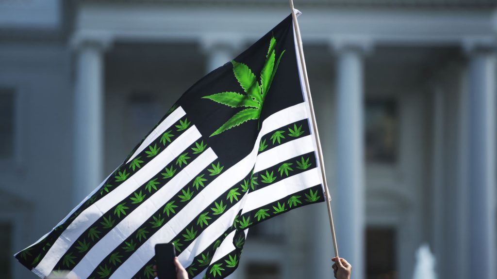 Pot stocks surge as Trump readies to loosen regulations Pot stocks surge as Trump readies to loosen regulations