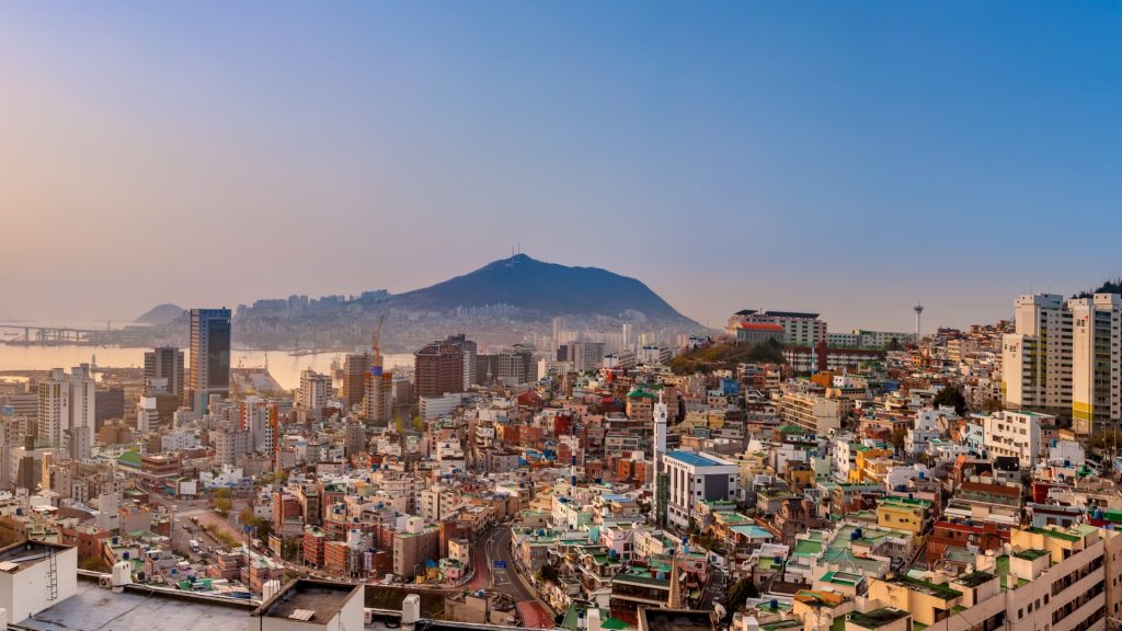 SoftBank soars 8% as Japanese tech stocks track gains in U.S. peers