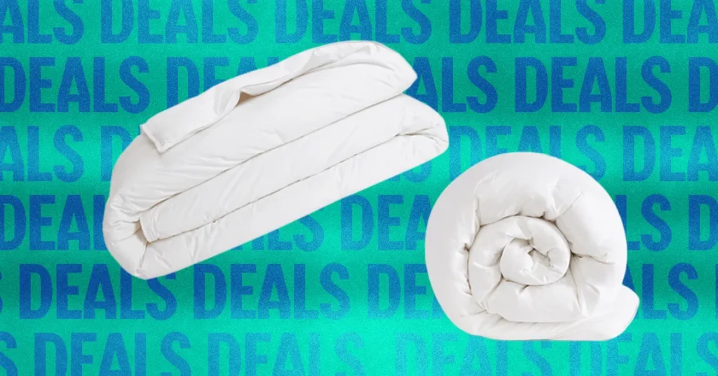 The Best Down Comforter Deals for Winter Nights (2025) The Best Down Comforter Deals for Winter Nights (2025)