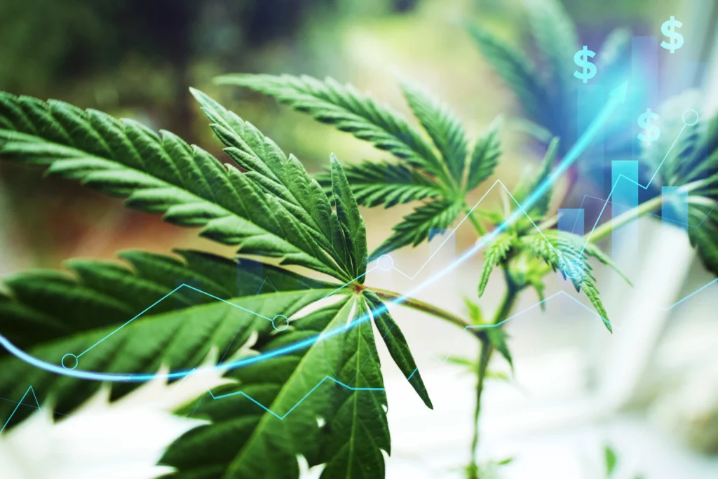 Tilray Brands Is No Longer A Strong Sell (NASDAQ:TLRY) Tilray Brands Is No Longer A Strong Sell (NASDAQ:TLRY)
