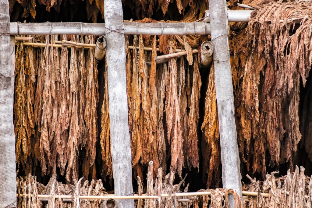 Universal: The Yield Is Attractive But Don’t Expect Growth (NYSE:UVV)