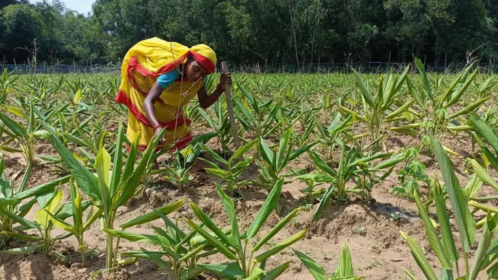 Vrutti partners with HSBC India to launch ‘FPO Shakti’ financing facility