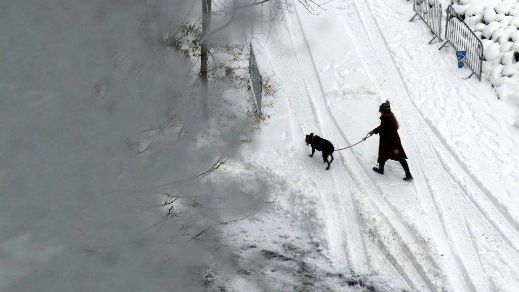 ‘Bomb cyclone’ forecasted to bring heavy snow, blizzard conditions and dangerous travel : NPR