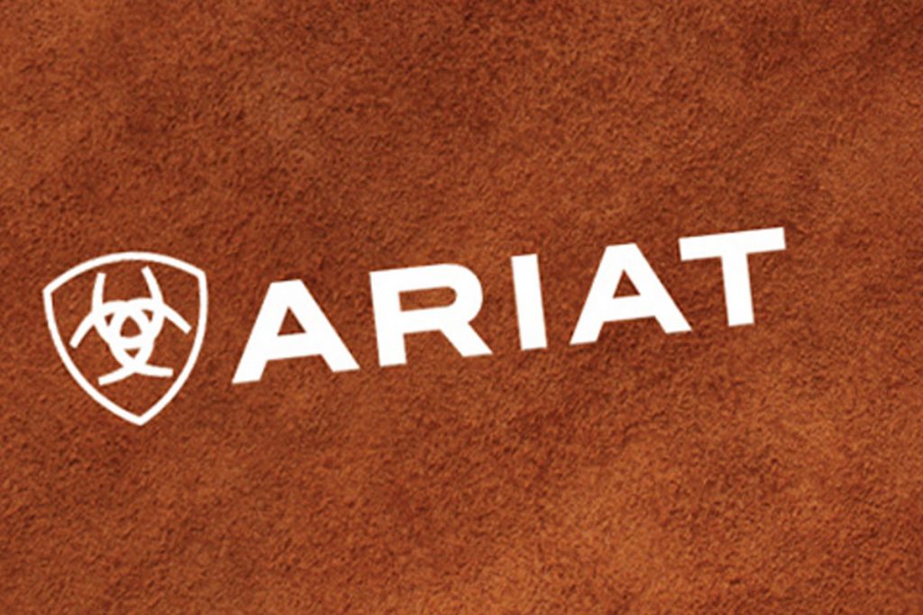 Ariat is selling $190 waterproof leather Chelsea boots starting at $100 Ariat is selling $190 waterproof leather Chelsea boots starting at $100