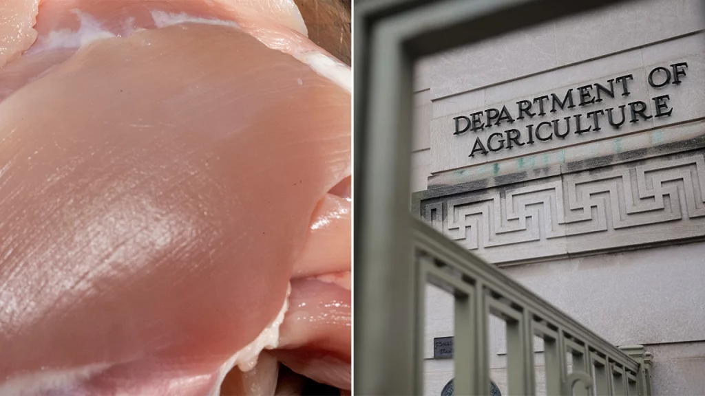 Chicken recall: 13K pounds pulled over listeria contamination fears