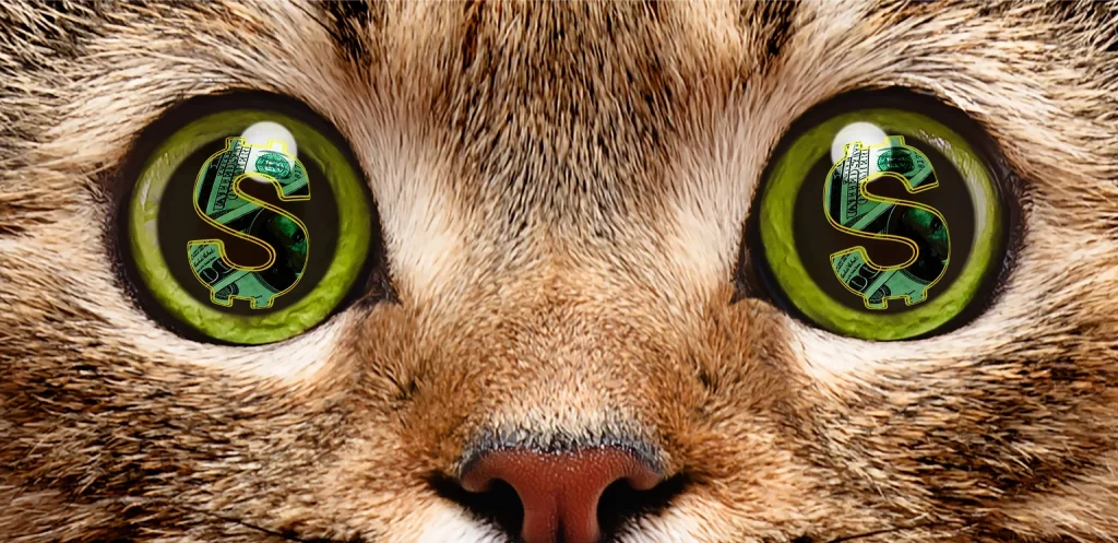 FSSL: Buy A Dollar For Seventy-Seven Cents With This New High-Yield CEF (OTCMKTS:FSSL)