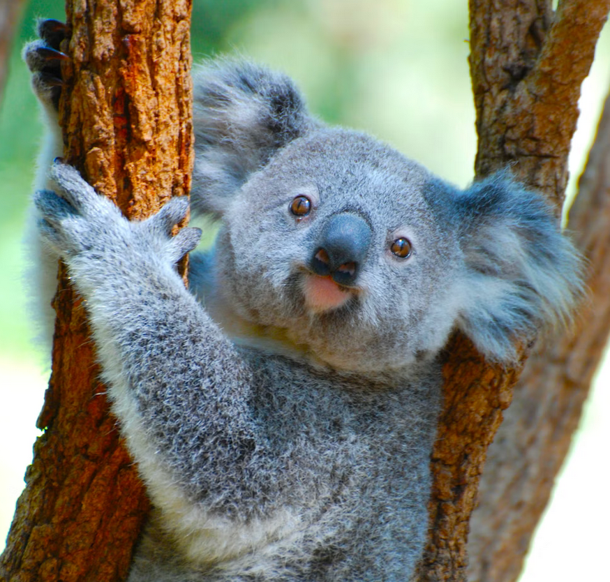 Links 1/10/2026 | naked capitalism Links 1/10/2026 | naked capitalism