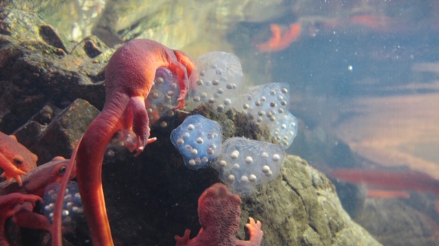 Links 1/3/2026 | naked capitalism Links 1/3/2026 | naked capitalism