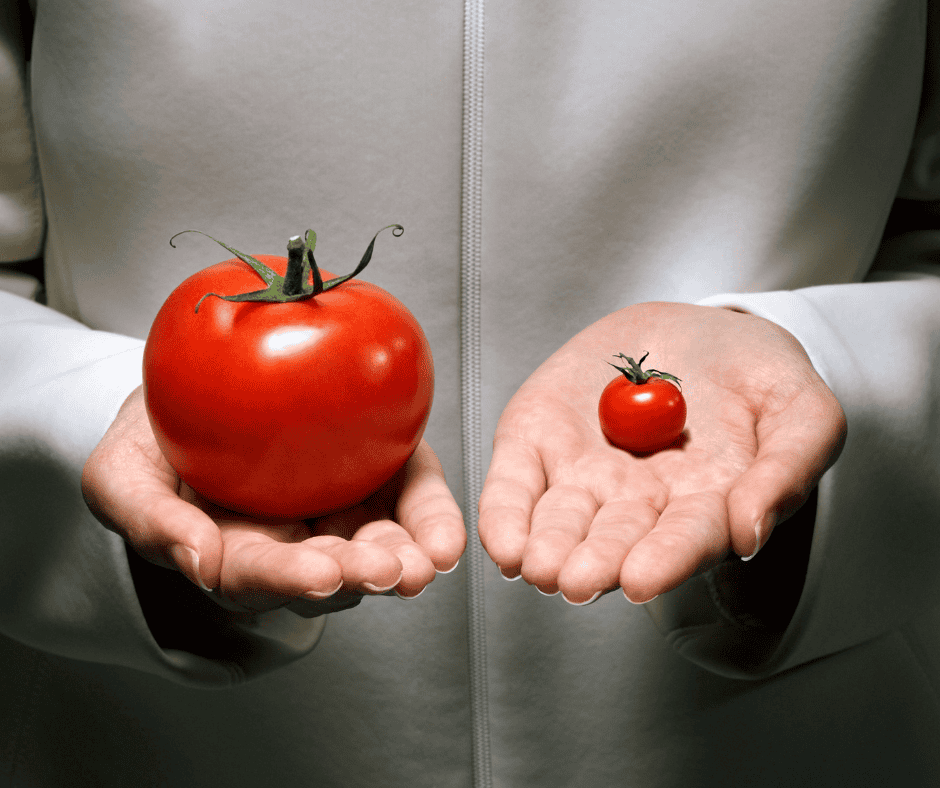 The Small Things Aren’t Small The Small Things Aren’t Small