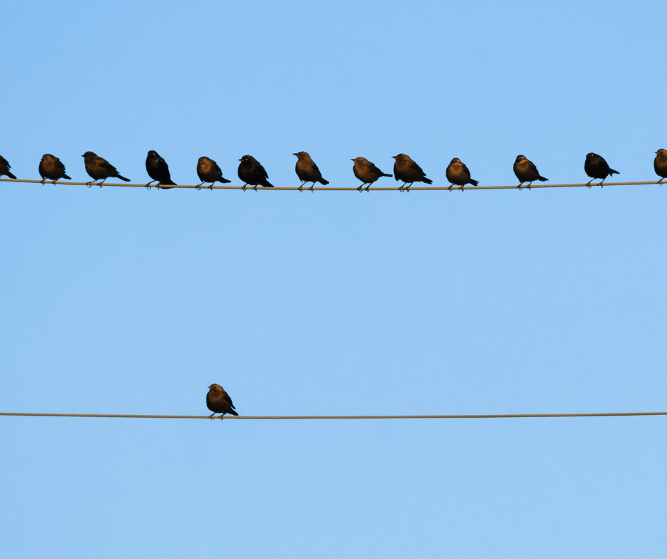 The Unconventional Advantage – Mike Vardy The Unconventional Advantage - Mike Vardy