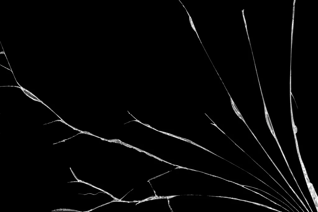 Treasury Rates May Be About To Break Out