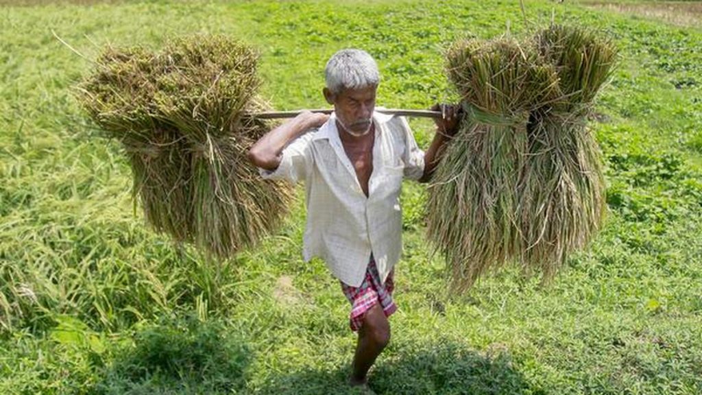 India’s agri-food processing renaissance: Navigating global headwinds and trade transformation in 2026