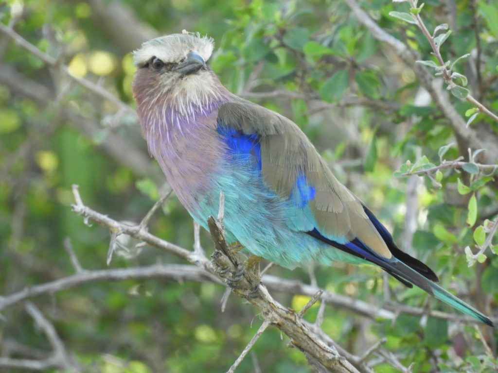 Links 2/7/2026 | naked capitalism