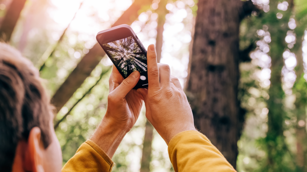 Messenger Apps Are Compressing Your Files, but There's a Workaround