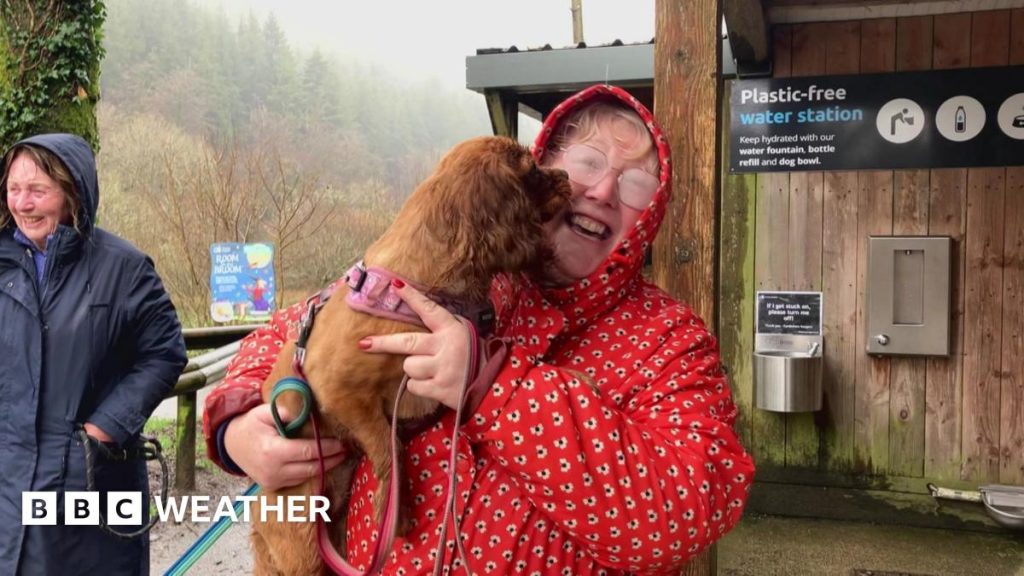 UK Weather: 50 days of rain in Cardinham to be confirmed by Met Office Wet looking woman in red coat holds dog