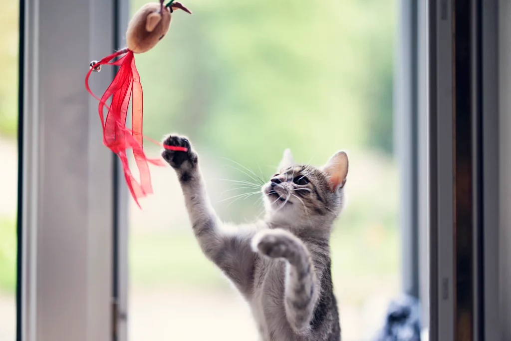 EMO: Monthly Income From Midstream Companies With Some Tradeoffs (NYSE:EMO)