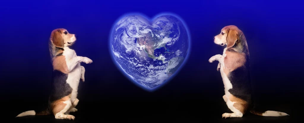 What In The World? 3 Country ETFs That Look Good Vs. S&P 500 (BATS:ECH)