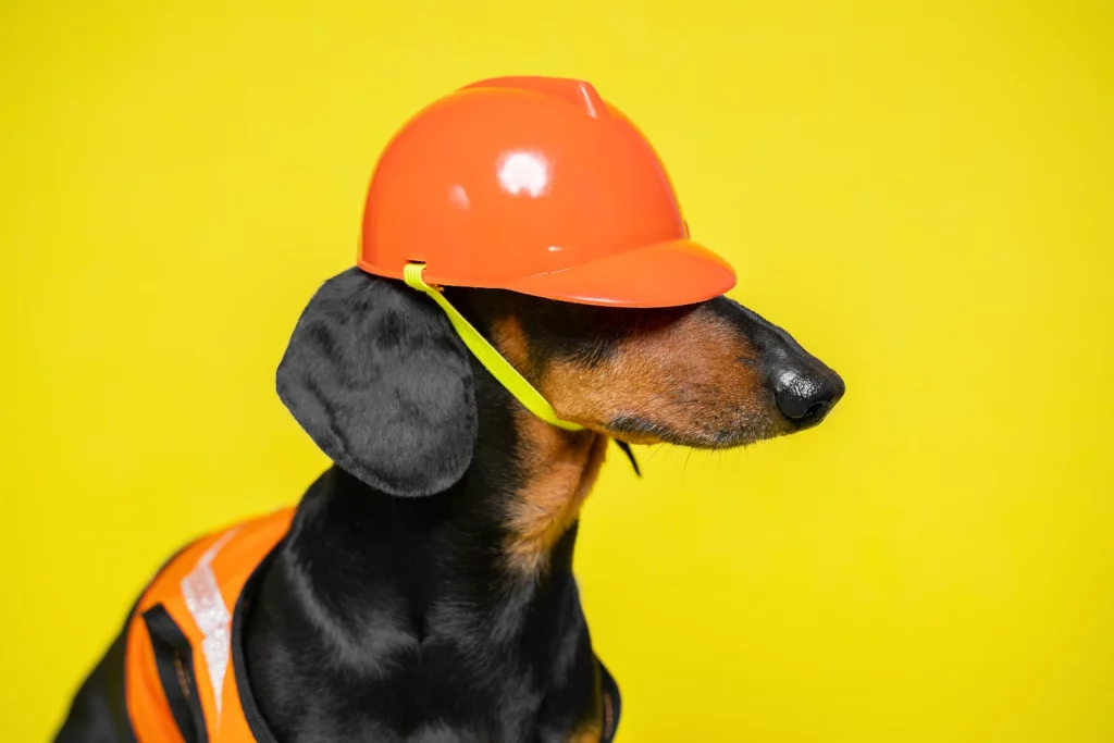 6 May Dividend Power Dog Buys 6 May Dividend Power Dog Buys