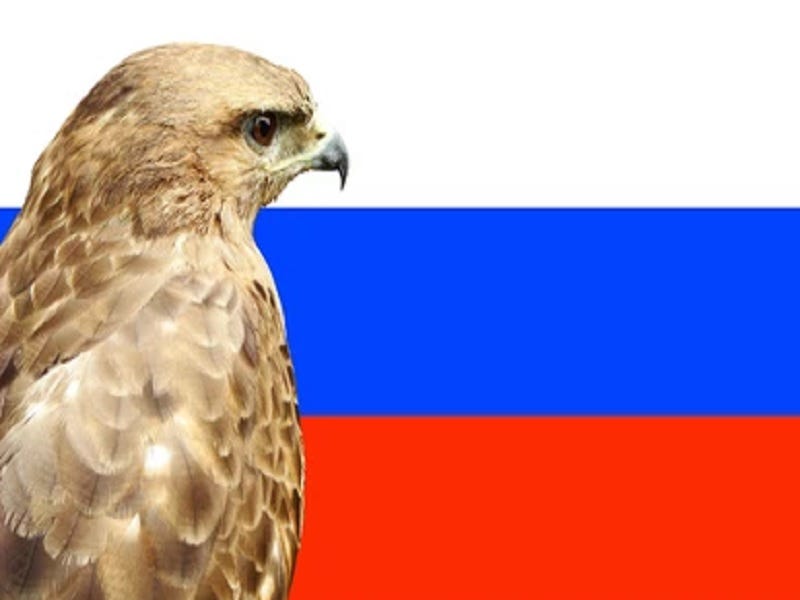 Putin Powerfully Rebuffed the Hawks Who Want Him to Attack NATO Putin Powerfully Rebuffed the Hawks Who Want Him to Attack NATO